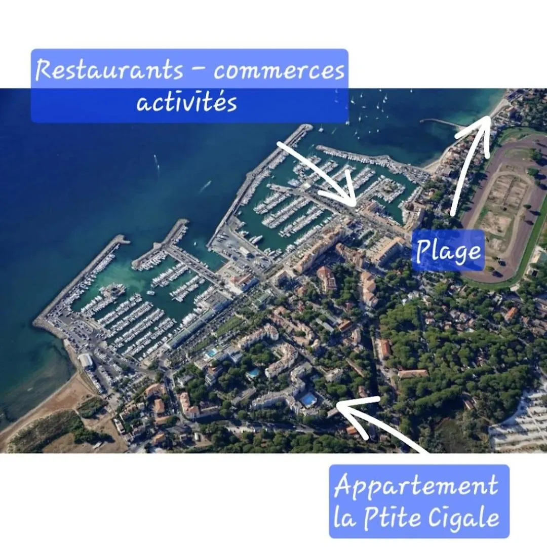 La P'Tite Cigale Apartment Hyeres